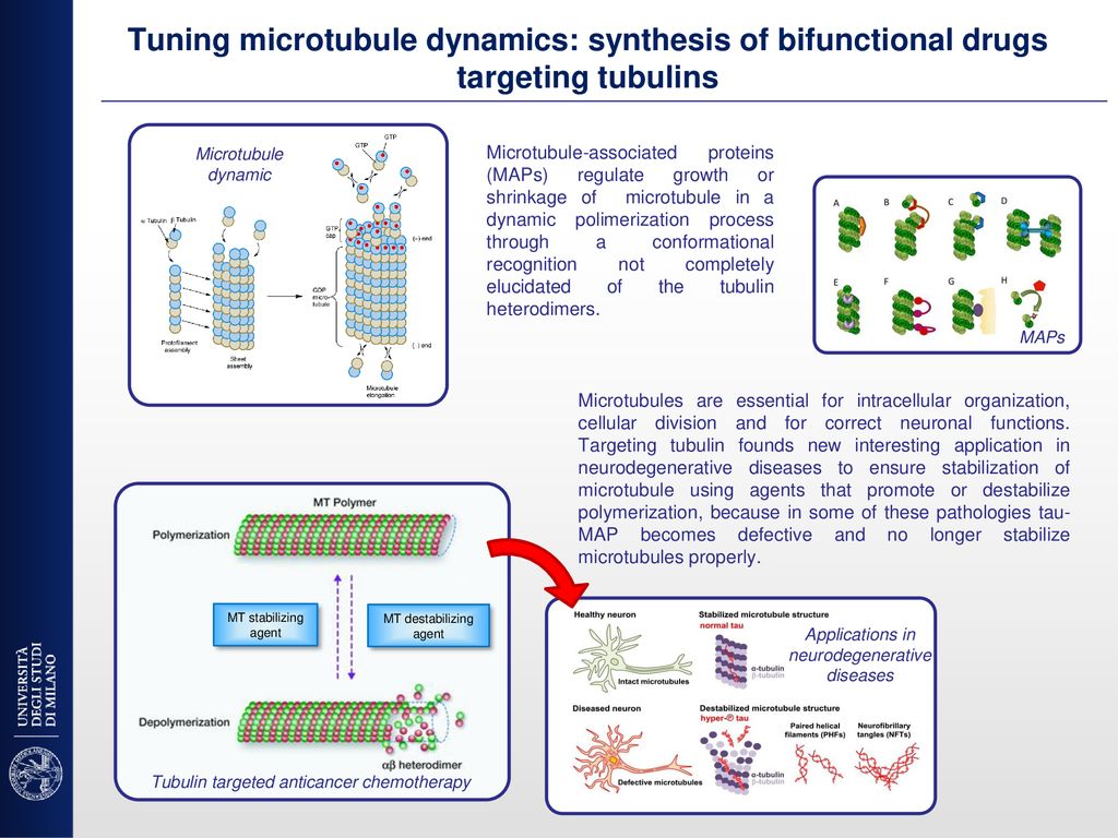 Tuning Microtubule Dynamics Synthesis Of Bifunctional Drugs Targeting